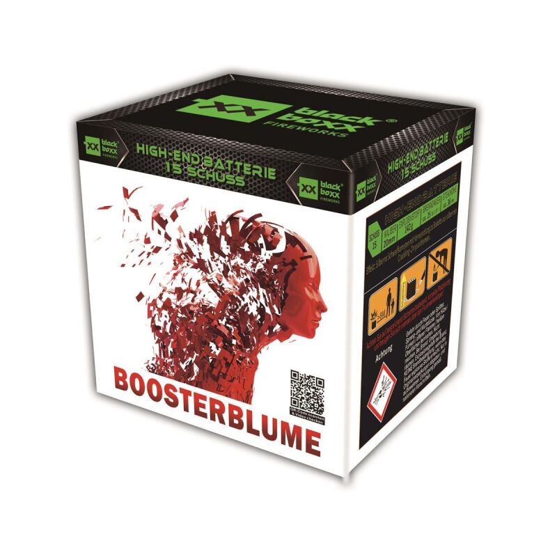 Boosterblume 15-Schuss-Feuerwerk-Batterie von Blackboxx ab 12.74€ jetzt bestellen