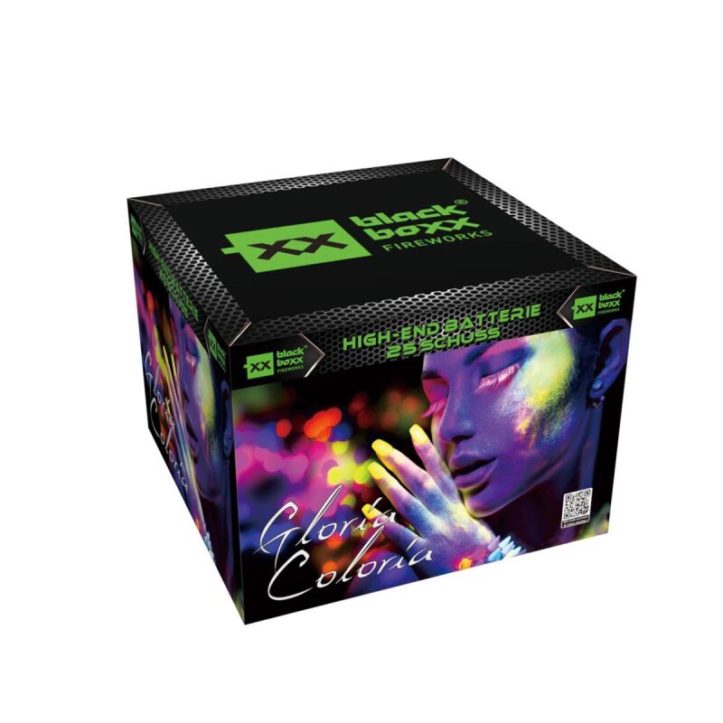 Gloria Coloria 25-Schuss-Feuerwerk-Batterie von Blackboxx ab 33.99€ jetzt bestellen