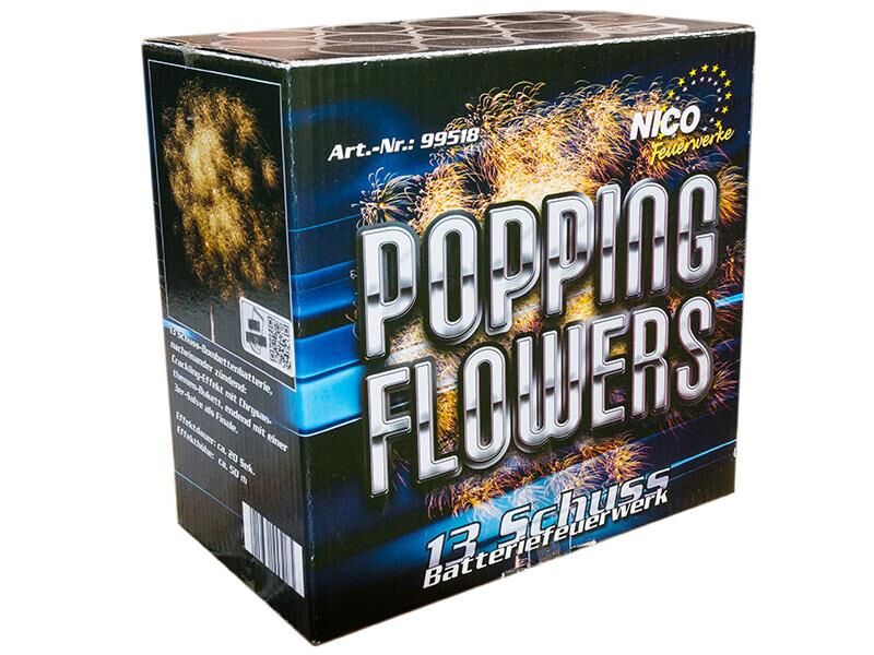 Popping Flowers 13-Schuss-Feuerwerk-Bombettenbatterien von Nico ab 16.14€ jetzt bestellen