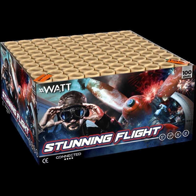 Stunning Flight 100-Schuss-Feuerwerkverbund von Lesli ab 79.04€ jetzt bestellen