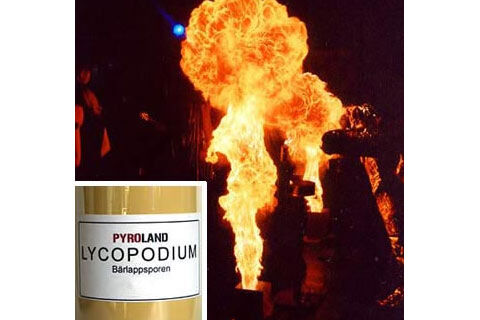 Schwer Lycopodium Qualitätsstufe Schwer 1Kg von Pyroland ab 159.99€ jetzt bestellen